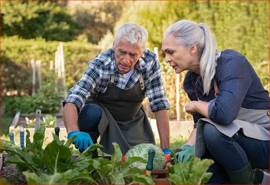 Benefits Of Community Gardening