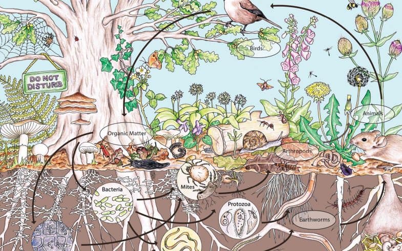 What’s Permaculture